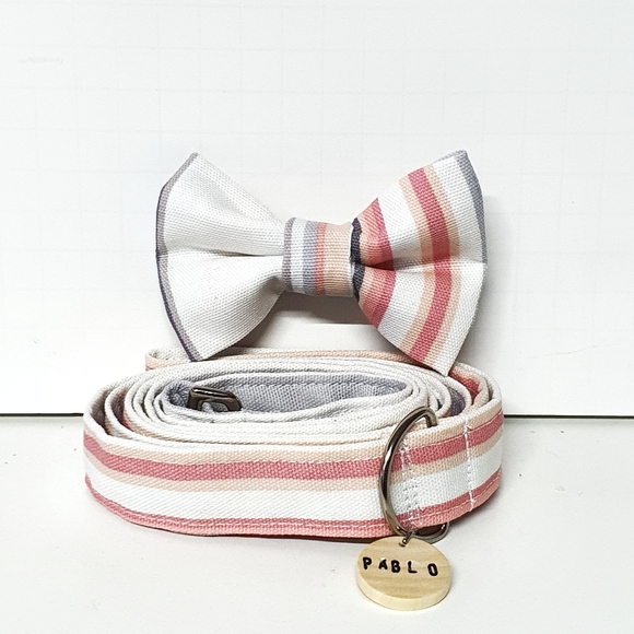 🐶 3 for $15 * Pablo's Cotton Stripes Dog Bow Tie & Leash Set - Picture 6 of 8